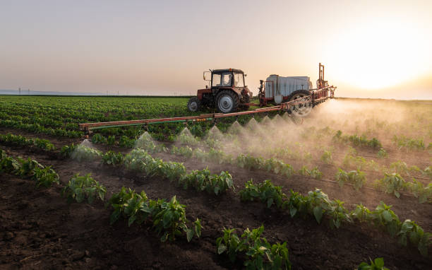 Best Pest Control Treatment  in Gambier, OH