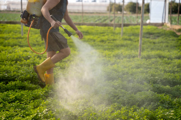 Best Wasp Removal Services  in Gambier, OH